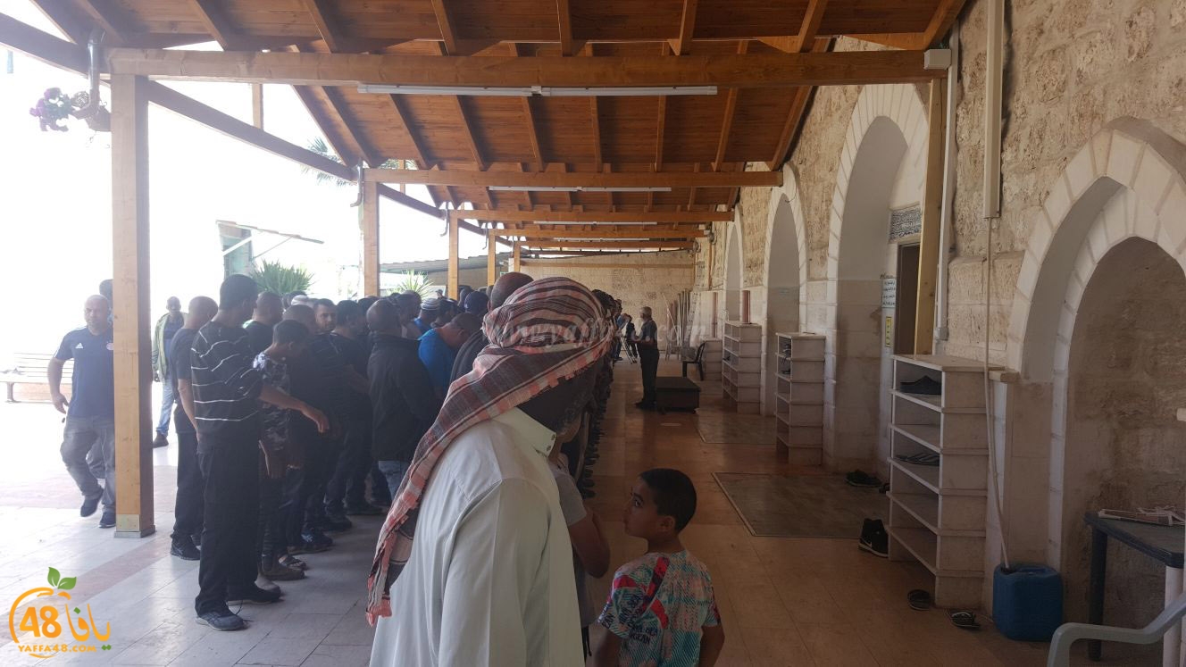 albeedjanaza (22).jpg